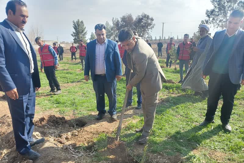۲۰ هزار اصله نهال در شهرستان رفسنجان غرس می شود