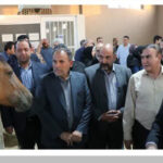 افتتاح باشگاه سوارکاری «قلب آبی» در رفسنجان؛ الگویی برای توانبخشی معلولان و کودکان اُتیسم