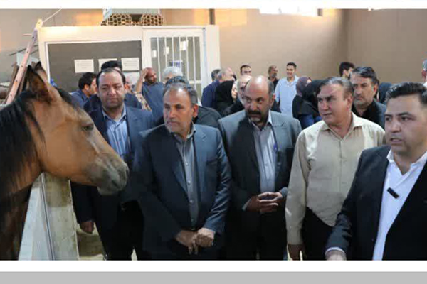 افتتاح باشگاه سوارکاری «قلب آبی» در رفسنجان؛ الگویی برای توانبخشی معلولان و کودکان اُتیسم